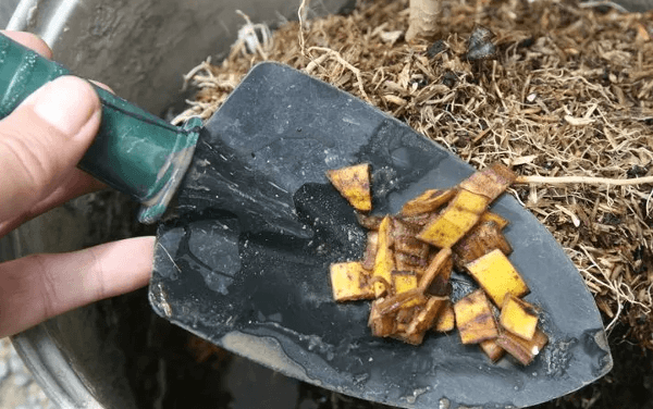 faire du compost avec banane