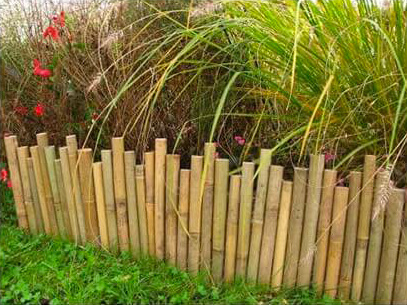 bordure jardin bambou
