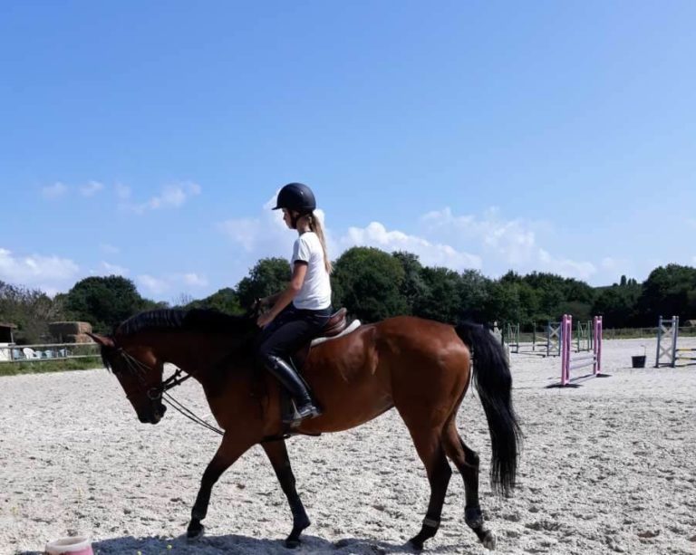 Comment monter à cheval pour les débutants